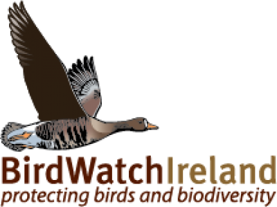 BirdWatch Ireland